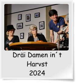Dri Damen int Harvst  2024